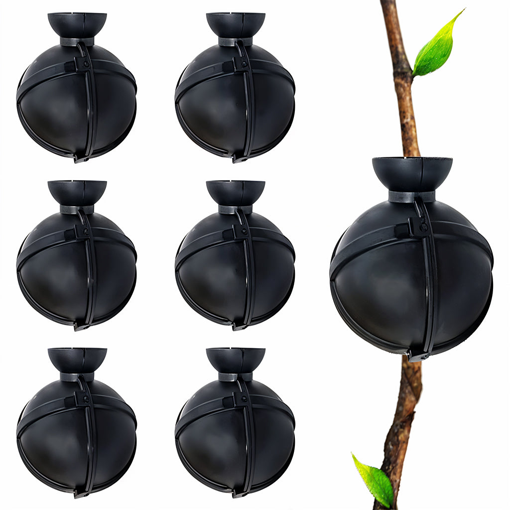 HASTHIP 6 Pcs Plant Rooting Ball - Plant Root Grow Box - Reusable Plant Rooting Grow Propagation Ball - Garden Grafting Tools for Indoor/Outdoor Plants - Air Layering Plant Propagation Ball (Black) HASTHIP 6 Pcs Plant Rooting Ball - Plant Root Grow Box - Reusable Plant Rooting Grow Propagation Ball - Garden Grafting Tools for Indoor/Outdoor Plants - Air Layering Plant Propagation Ball (Black)